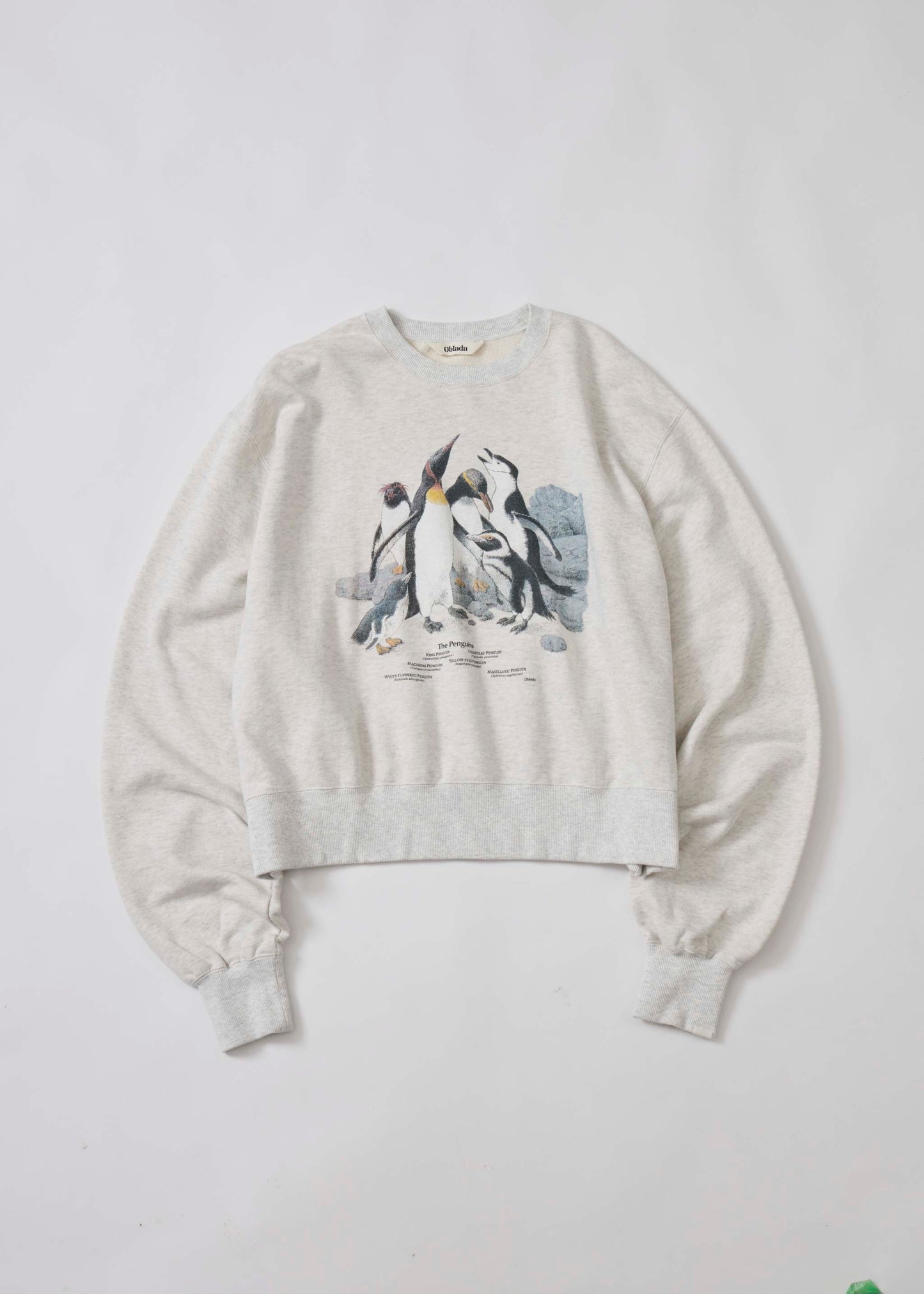 【ONLINE PREORDER】PENGUINES SWEAT