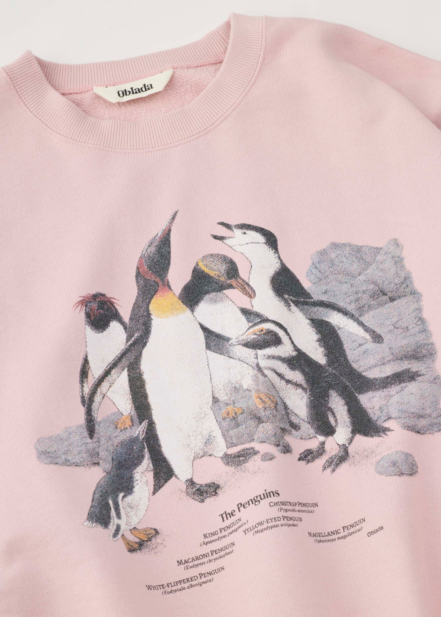 【ONLINE PREORDER】PENGUINES SWEAT