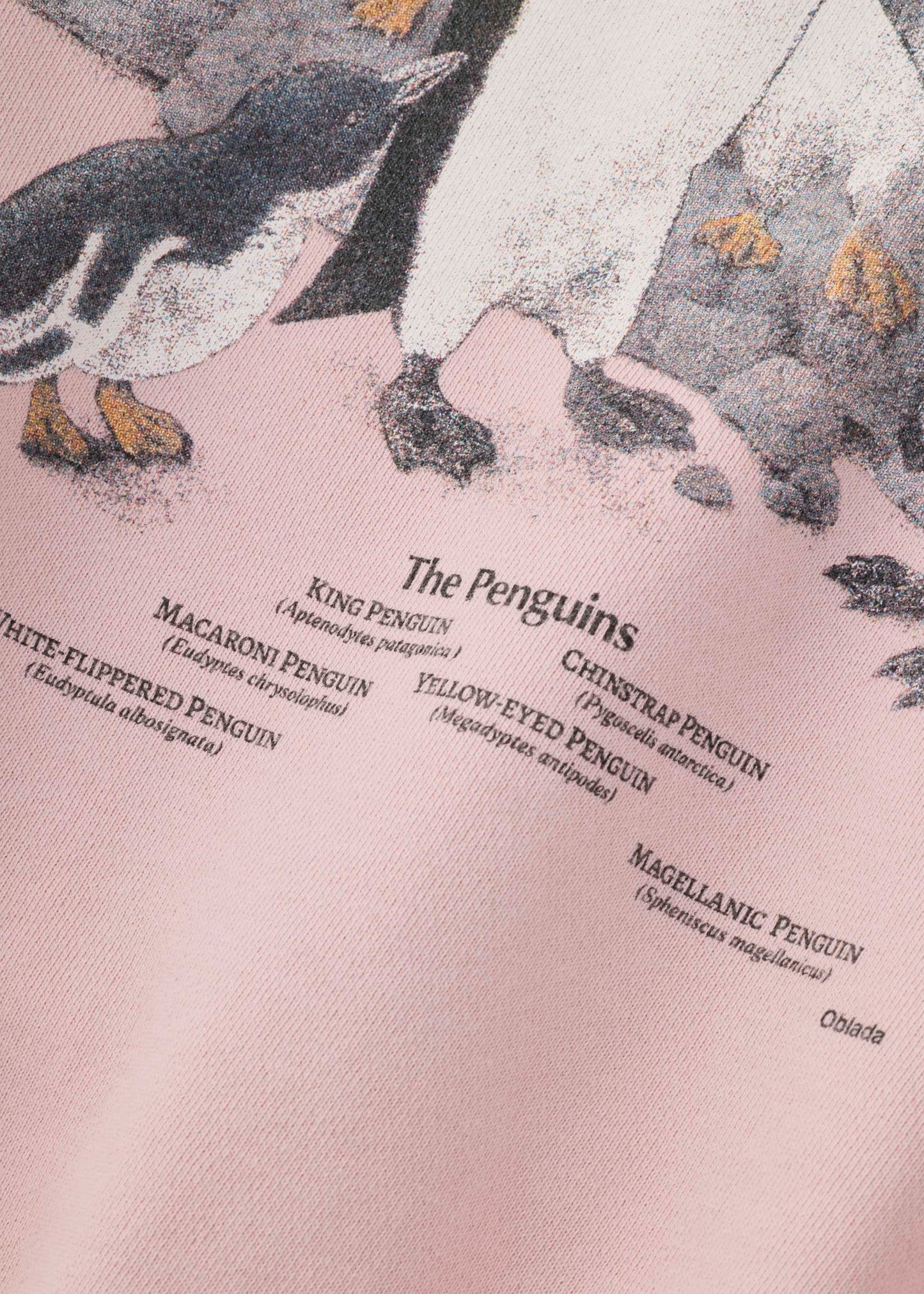 【ONLINE PREORDER】PENGUINES SWEAT
