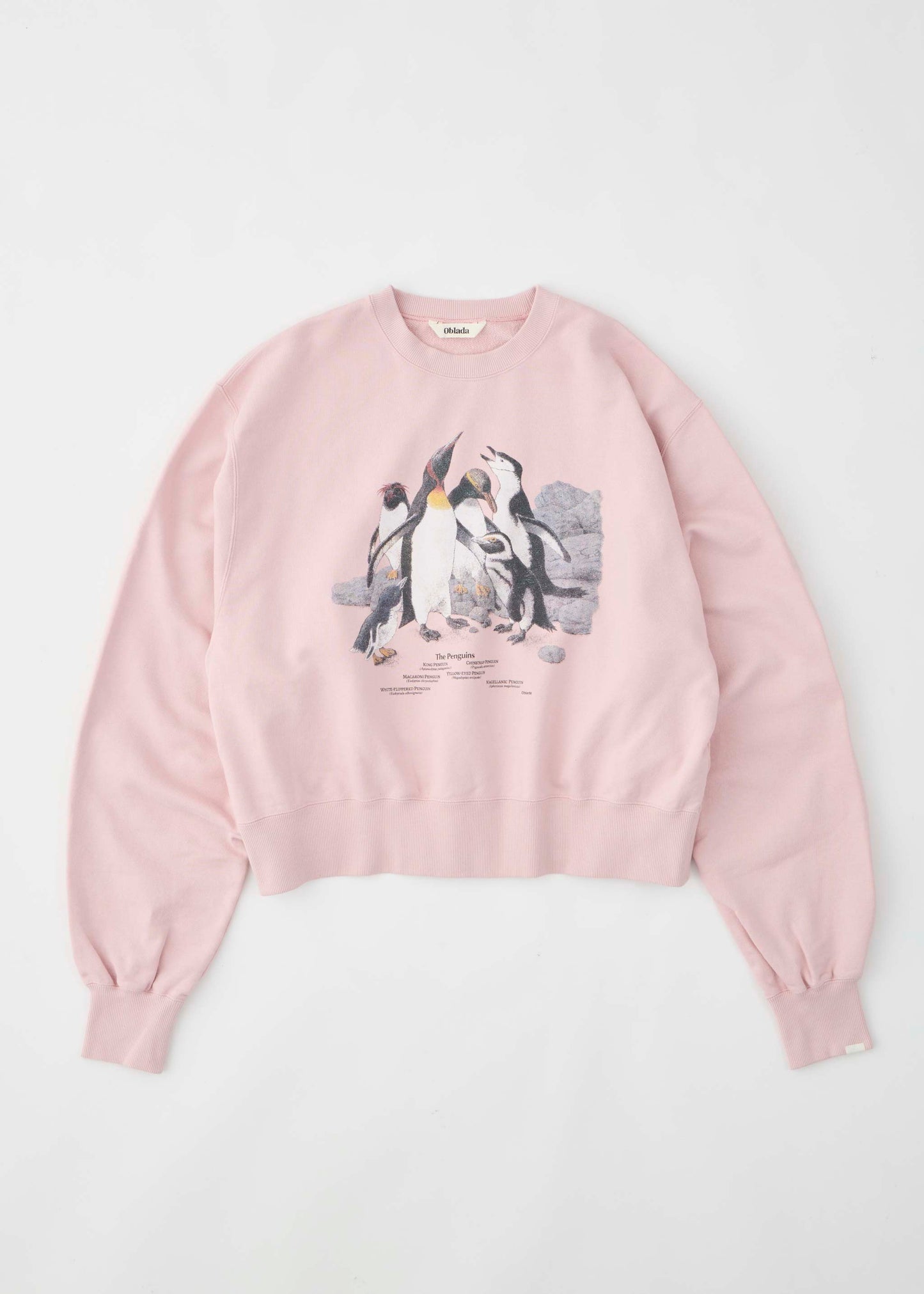 【ONLINE PREORDER】PENGUINES SWEAT